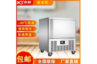廣東速凍柜 低溫商用急凍柜 包子速凍冰箱-佰鮮冷柜